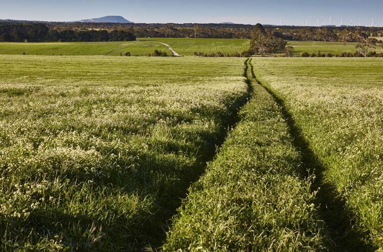 Farm View