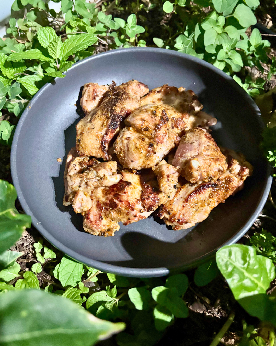 Photo of BBQ Capretto Forequarter with Basil & Rocket Tzatziki